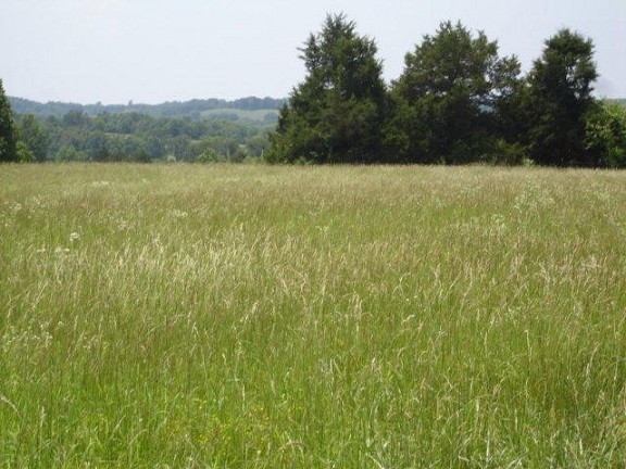 Pasture View
