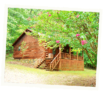 Cabin In The Spring