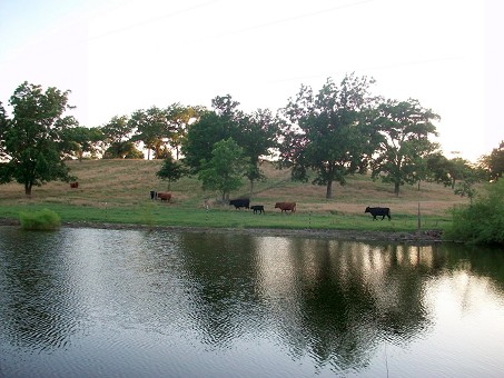 What A View From Your Front Porch!