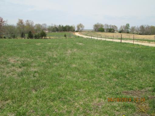 10.3 Acres Level To Rolling In Lyles, Tn