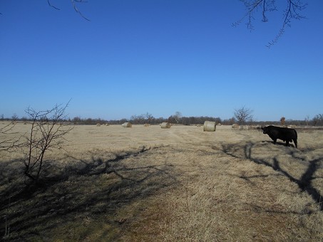 Field1