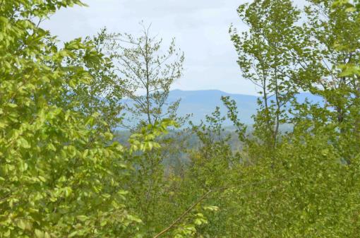Maine Land For Sale
