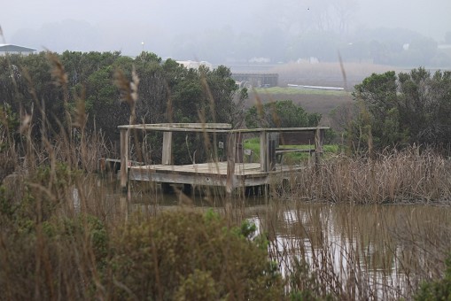 Duck Club In Solano County