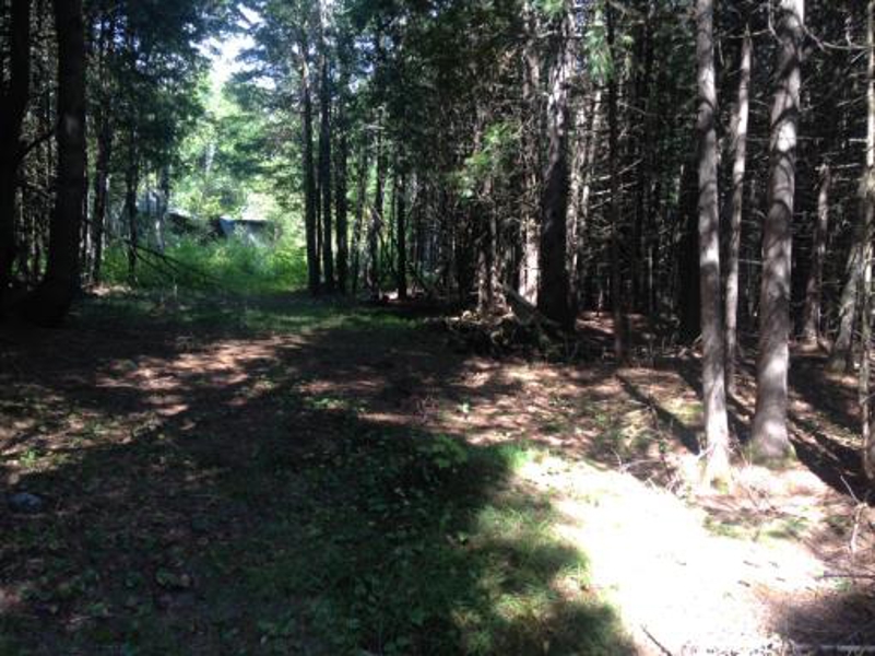 Maine Land For Sale In Stacyville Maine
