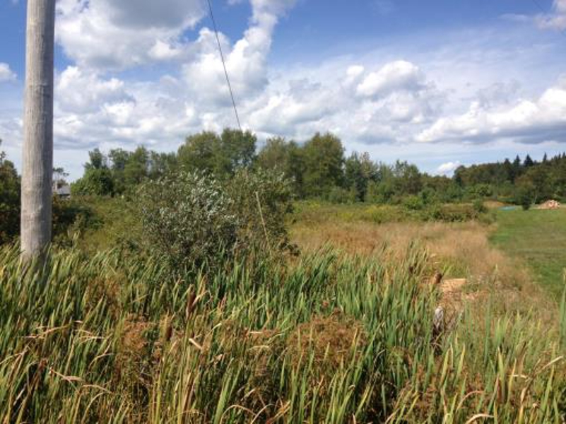 Maine Land For Sale In Stacyville Maine