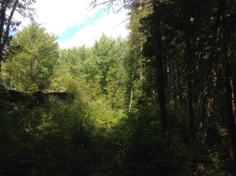 Maine Land For Sale In Stacyville Maine