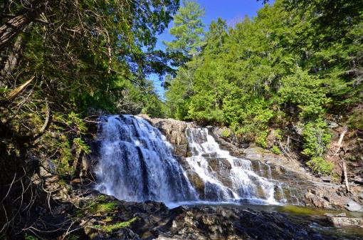 Beautiful Water Fall