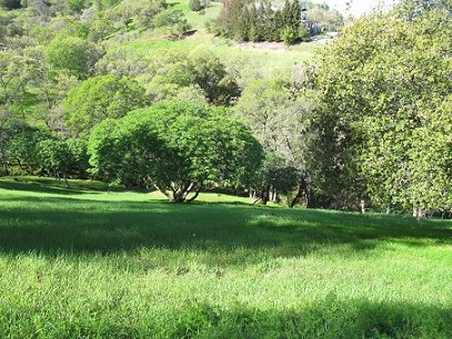 Pleasant Hills Ranch