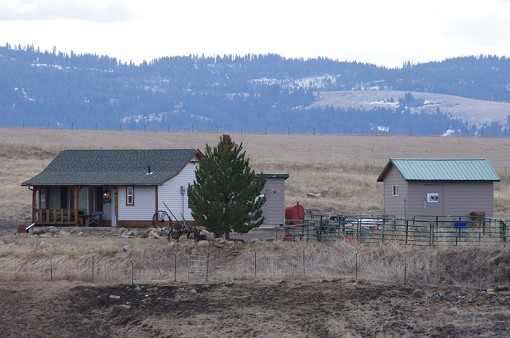 Cabin Main View