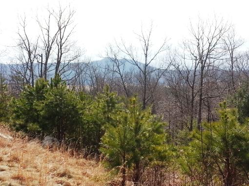 Mountain Views