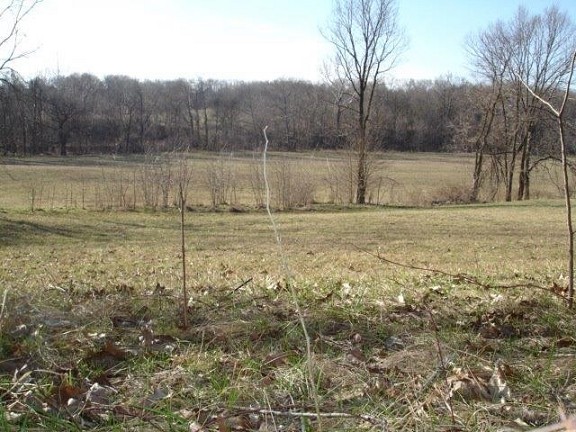 Land Scene