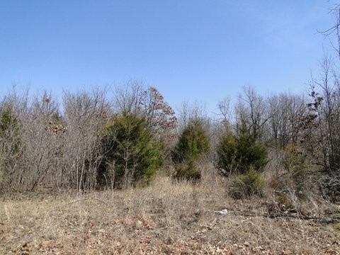 Land Scene
