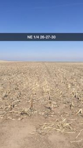 SOLD *800 Ac Irrigated Cropland Auction * Gray Co, KS * SOLD - image 3