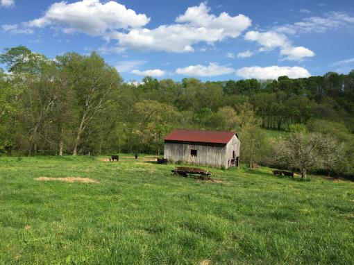 26 Acres In Columbia (middle Tn)