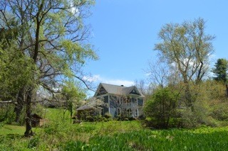 Main View