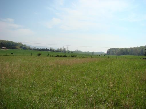 3.554 Acres