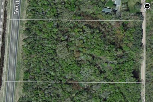 Wooded Land
