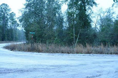 View From The Road