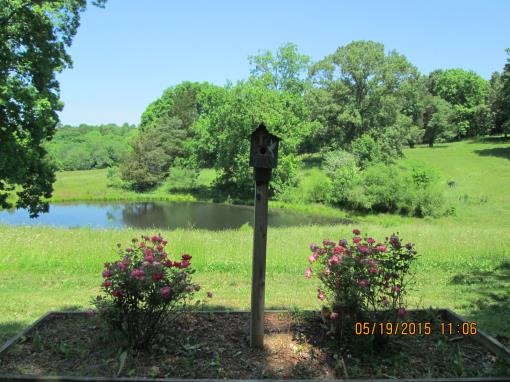 81 Acres In Dickson Co., Tn