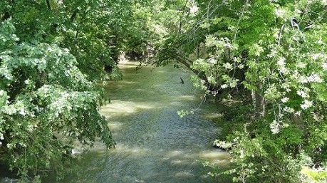 Creek