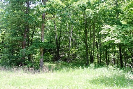 Land