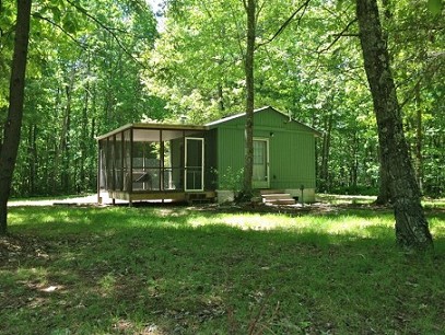 Main View