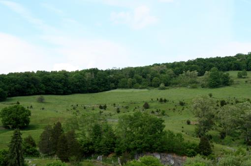 Land Located Above Cedars