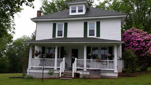 Main View