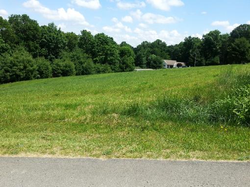 1.56 Acre Lot