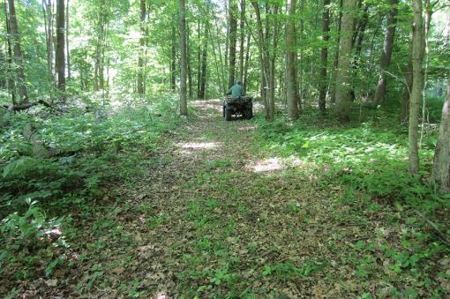 Indiana Hunting Property For Sale | Timberland - image 26