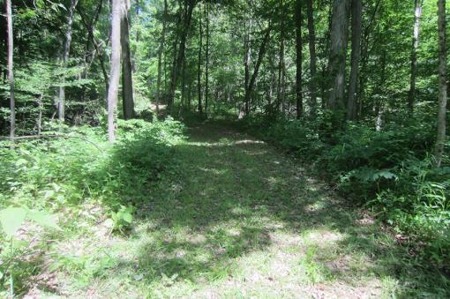 Indiana Hunting Property For Sale | Timberland - image 4