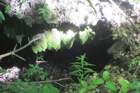 Indiana Hunting Property For Sale | Timberland - image 2