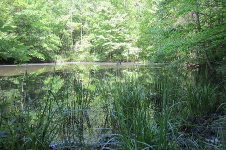 Indiana Hunting Property For Sale | Timberland - image 24