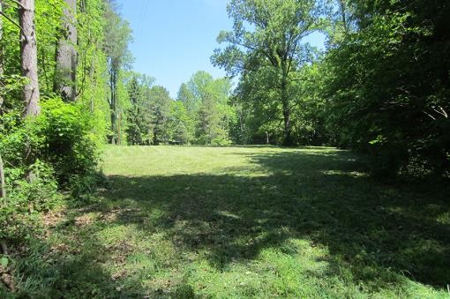 Indiana Hunting Property For Sale | Timberland - image 7
