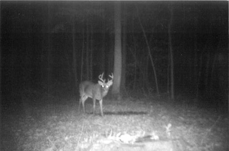 Indiana Hunting Property For Sale | Timberland - image 20
