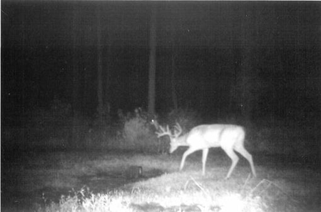 Indiana Hunting Property For Sale | Timberland - image 22