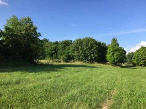 Acreage For Sale In Middle Tn