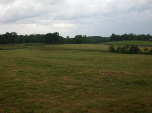 Half Pasture Half Woods In Williamson County Tn