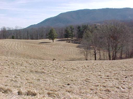 Mountain Top
