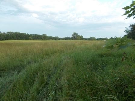 Acreage View