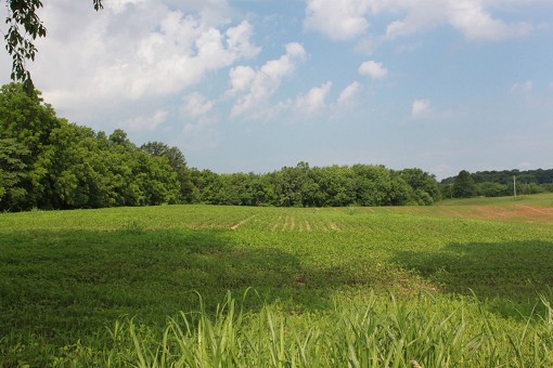 View To The West