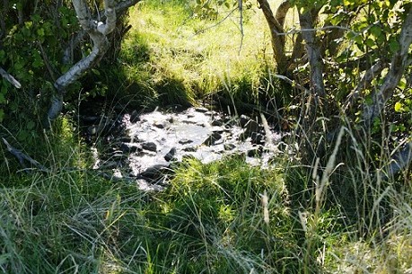 Year Round Creek