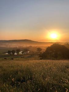 Oklahoma Cattle Ranch in Henryetta for Sale - image 45