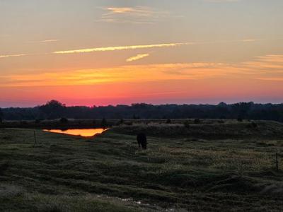 Oklahoma Cattle Ranch in Henryetta for Sale - image 44