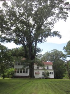 Country Estate In Southern Virginia Near Kerr Lake - image 25