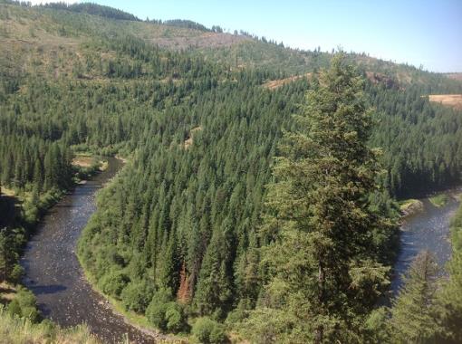 View Of St. Maries River