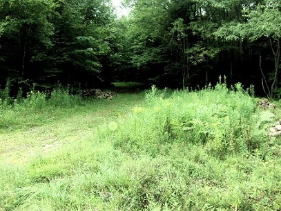 Deeded R-o-w To 100 Acre Parcel