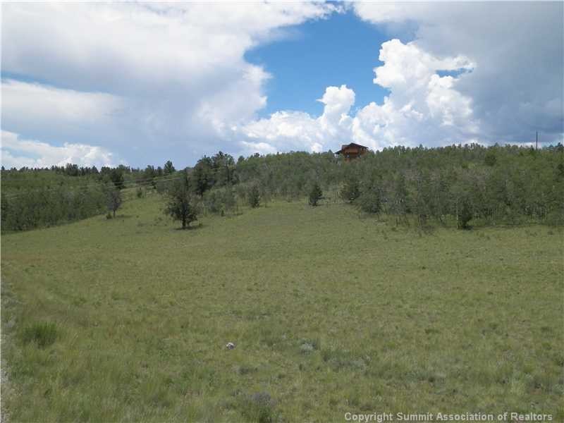 717 Reinecker Ct Acreage Fairplay