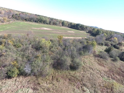 Hunting Acreage Juneau County, New Lisbon, Wi - image 23