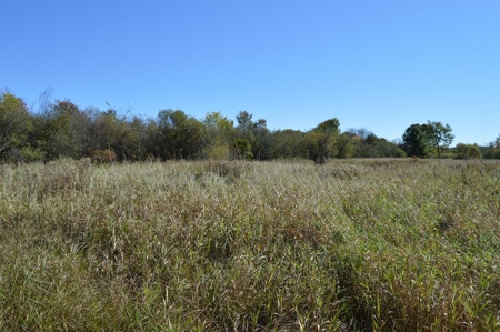 Hunting Acreage Juneau County, New Lisbon, Wi - image 15